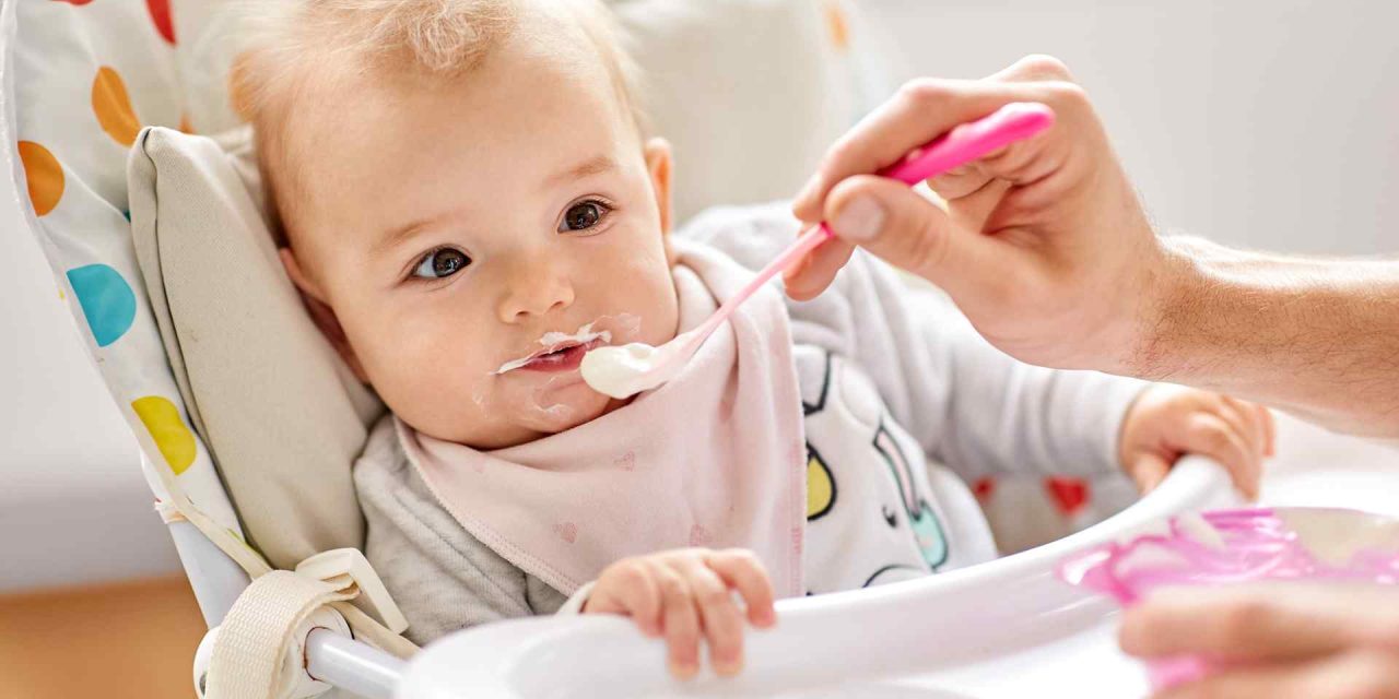 Babies should be fed solid food from 6 months